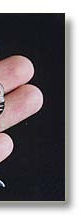 ����������ͼƬ